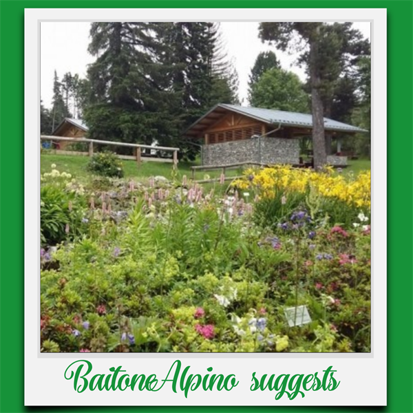 BaitoneAlpino Suggests: Alpine Botanic Garden viote